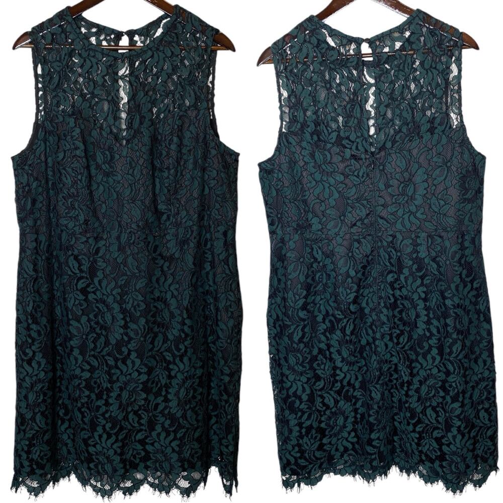 Eliza J Lace Sheath Cocktail Dress size 14W Sleeveless Green‎ Black